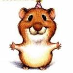 Tunde Csontos Profile Picture